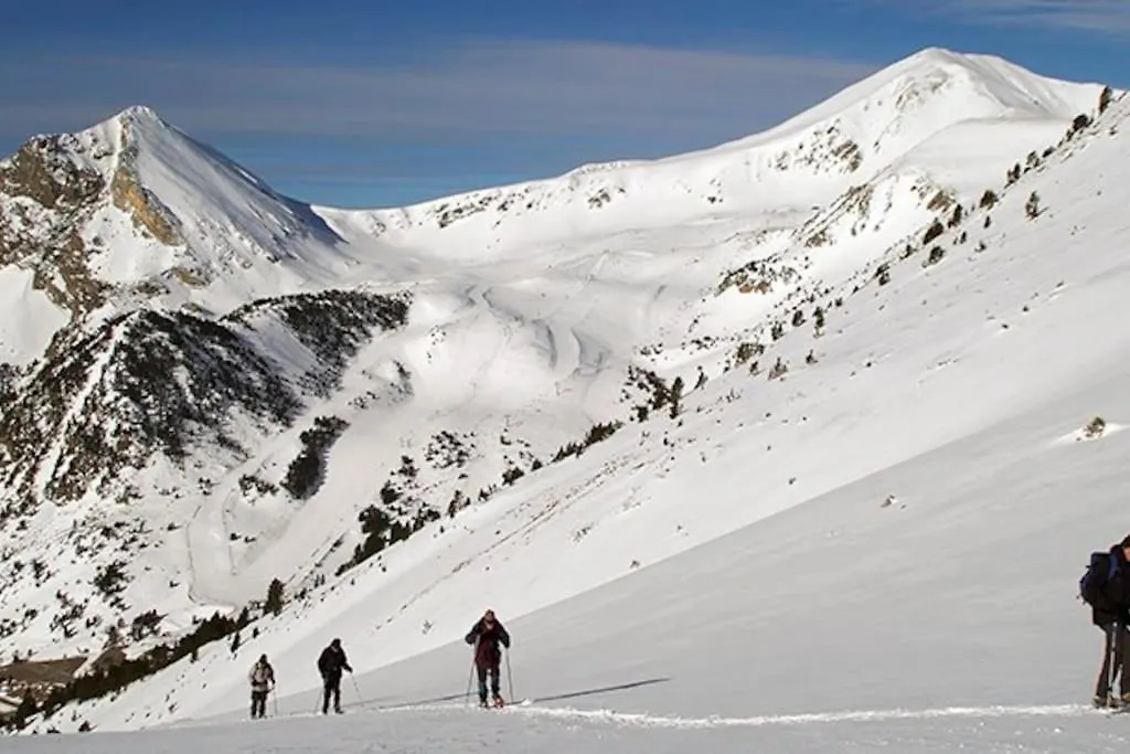 Domek alpejski Bungalow En Parc Natural Del Ter 2000 Metres Setcases
